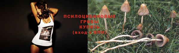 СК Богданович