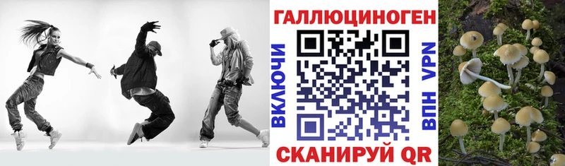 Галлюциногенные грибы прущие грибы  Купить где  Козловка 